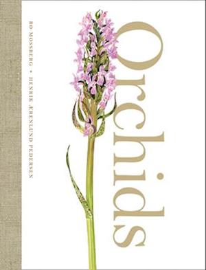 'Orchids' - Bo Mossberg - Bog