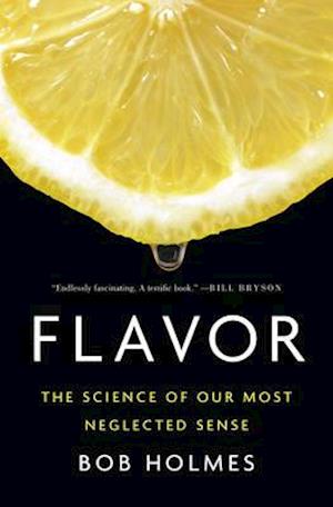 'Flavor' - Bob Holmes - Bog