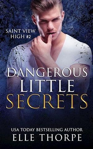 'Dangerous Little Secrets ' - Elle Thorpe - Bog