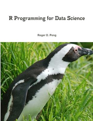 'R Programming for Data Science' - Roger Peng - Bog