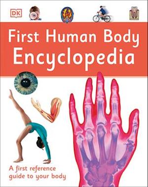'First Human Body Encyclopedia' - DK - Bog