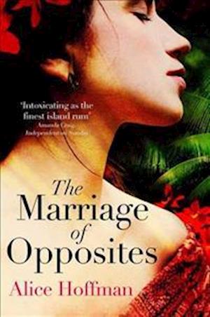 'The Marriage of Opposites' - Alice Hoffman - Bog