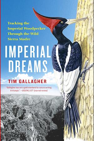 'Imperial Dreams' - Tim Gallagher - Bog