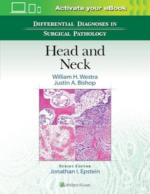 'Differential Diagnoses in Surgical Pathology: Head and Neck' - Justin Bishop og William H. Westra - Bog
