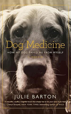 'Dog Medicine' - Julie Barton - Bog