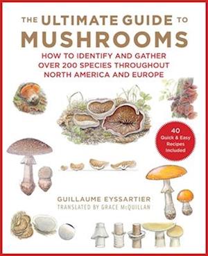 'The Ultimate Guide to Mushrooms' - Guillaume Eyssartier - Bog