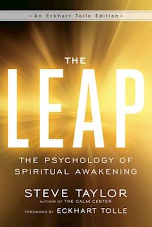 'The Leap' - Steve Taylor - Bog