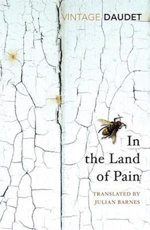 'In the Land of Pain' - Alphonse Daudet - Bog