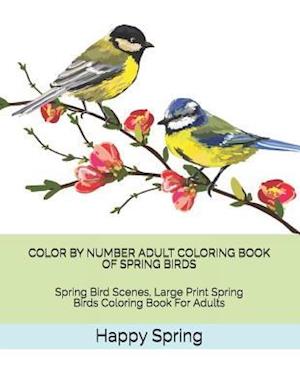 'Color by Number Adult Coloring Book of Spring Birds' - Happy Spring - Bog
