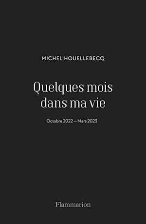 'Quelques mois dans ma vie' - Michel Houellebecq - Bog
