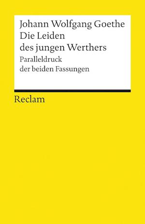 'Die Leiden des jungen Werther' - Johann Wolfgang von Goethe - Bog