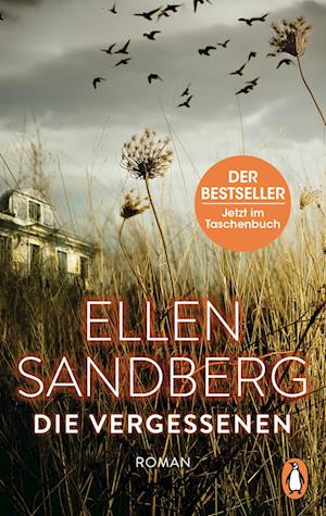 'Die Vergessenen' - Ellen Sandberg - Bog