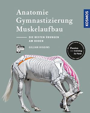 'Anatomie, Gymnastizierung, Muskelaufbau' - Gillian Higgins - Bog