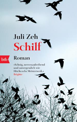 'Schilf' - Juli Zeh - Bog