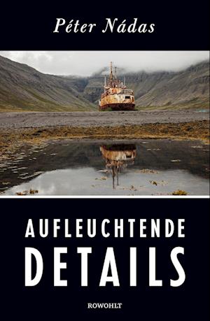 'Aufleuchtende Details' - Péter Nádas - Bog