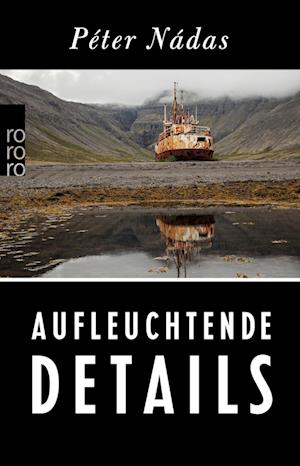 'Aufleuchtende Details' - Péter Nádas - Bog