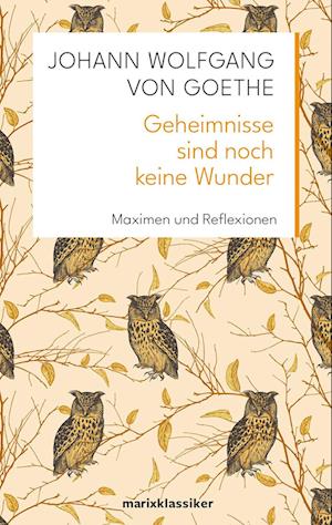 'Geheimnisse sind noch keine Wunder' - Johann Wolfgang von Goethe - Bog