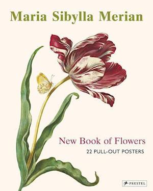 'Maria Sibylla Merian' - Prestel Publishing - Bog