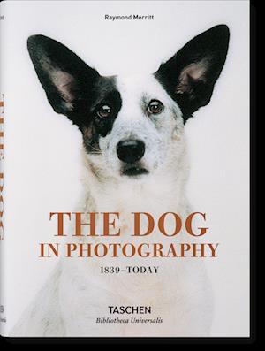 'The Dog in Photography 1839Today' - Raymond Merritt - Bog