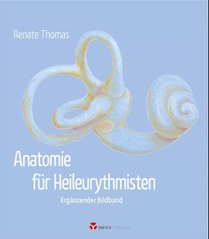 'Anatomie für Heileurythmisten' - Renate Thomas - Bog