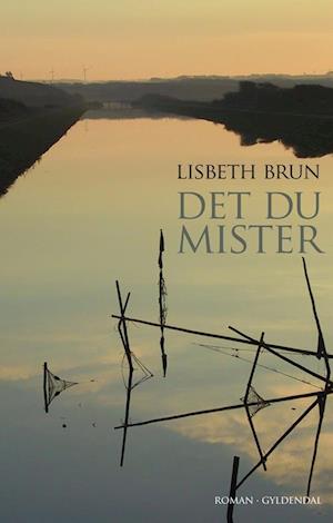 'Det du mister' - Brugt bog - Lisbeth Brun