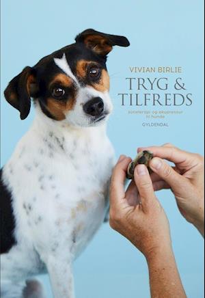 'Tryg og tilfreds' - Brugt bog - Vivian Birlie
