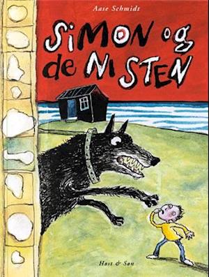 'Simon og de ni sten' - Brugt bog - Aase Schmidt