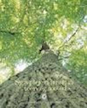 'Sygeplejevidenskab - teori og metode' - Brugt bog