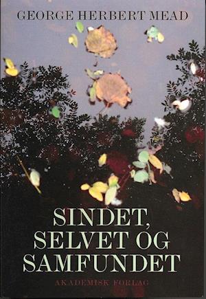 'Sindet, selvet og samfundet' - Brugt bog - George Herbert Mead
