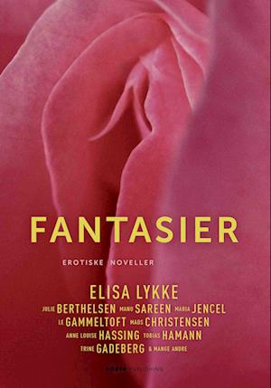 'Fantasier' - Brugt bog - Elisa Lykke