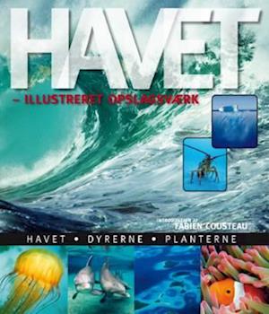 'Havet' - Brugt bog - F. Cousteau