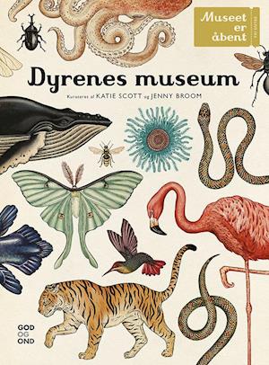 'Dyrenes museum' - Brugt bog - Jenny Broom og Katie Scott