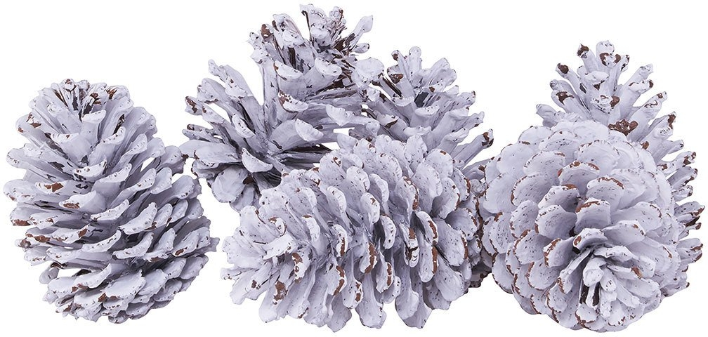 Julepynt og dekorationer House Doctor Coney 6 stk hvide naturtro grankogler