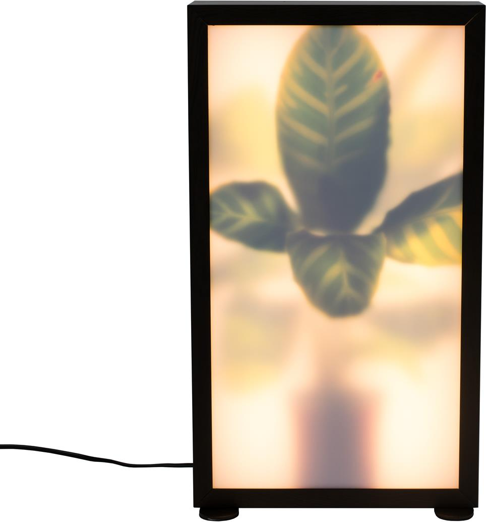 Gulvlampe Zuiver Grow naturfarvet akrylglas aluminium standerlampe til indendørs brug med dæmper 320 lm 3000 K