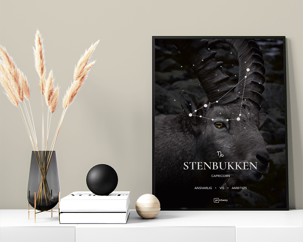 Stenbukken Stjernetegn Plakat Motiv 50×70 cm (B2)