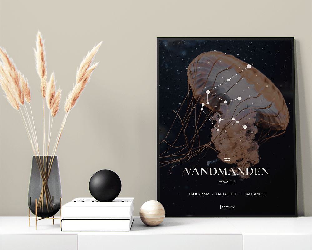 Vandmanden Stjernetegn Plakat Motiv 50×70 cm (B2)