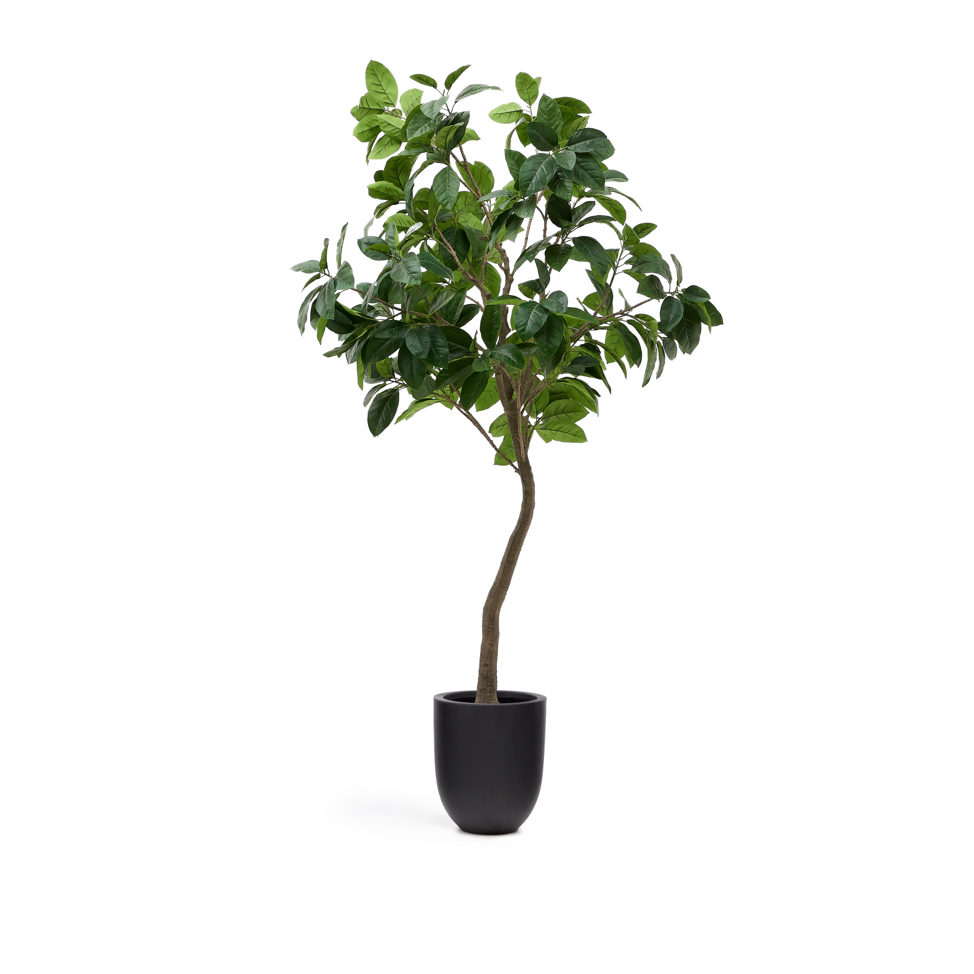 KAVE HOME Kunstig Ficus træ - grøn plast i sort potte (H:210cm)