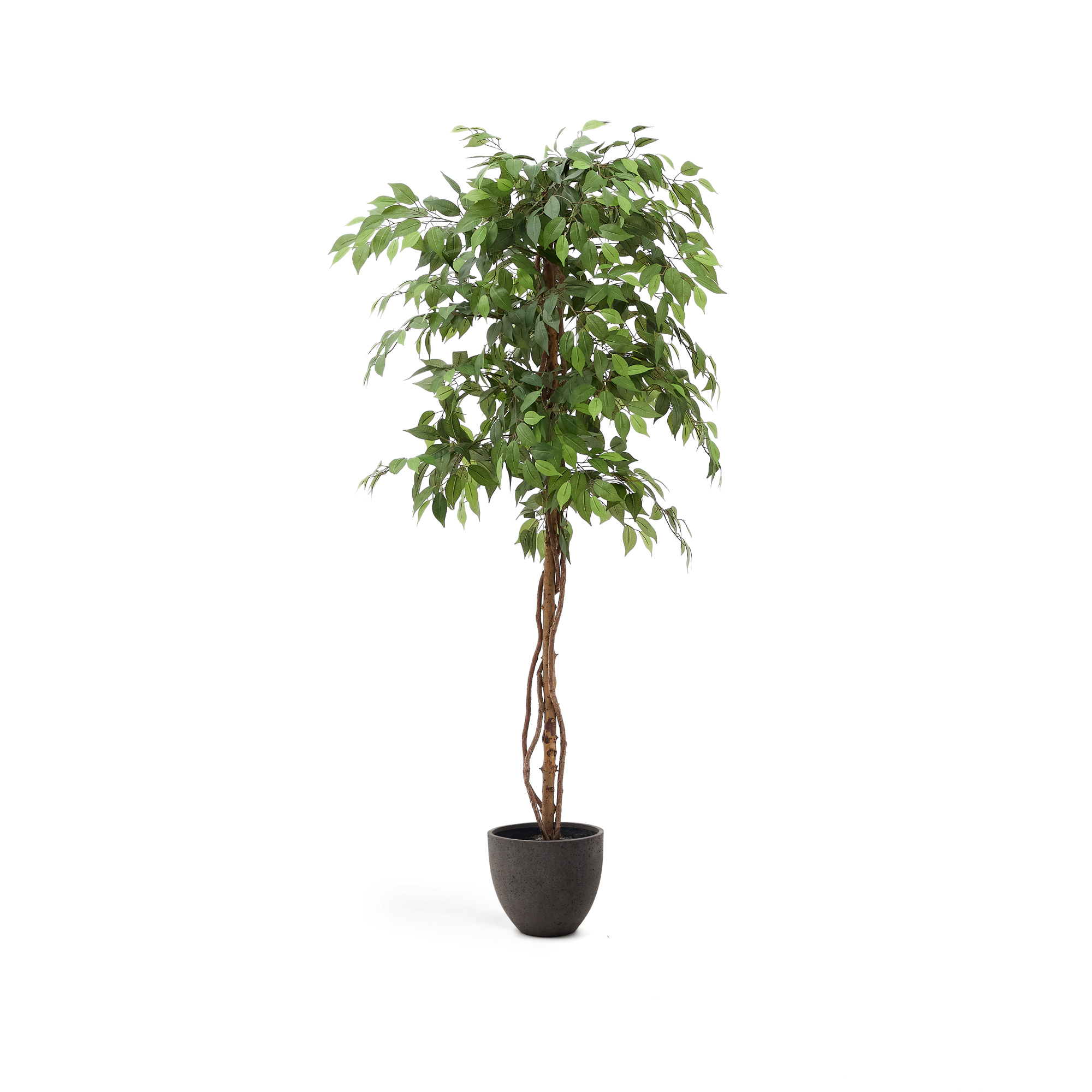 KAVE HOME Kunstig Ficus træ - grøn plast i sort potte (H:180cm)