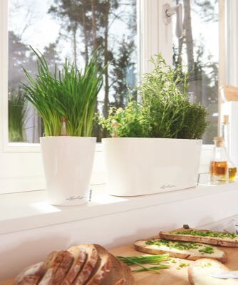 Lechuza Delta 10 indendørs krukke til blomster med selvvandingssystem 13 Hvid Højglans