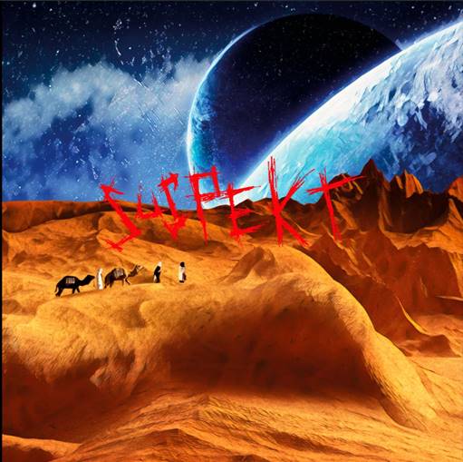 Suspekt - Sindssyge Ting (Vinyl)