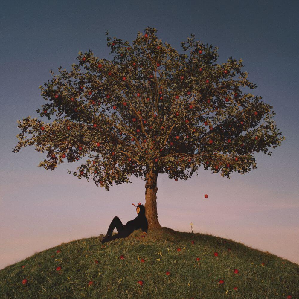 Slowthai - Tyron (Vinyl)