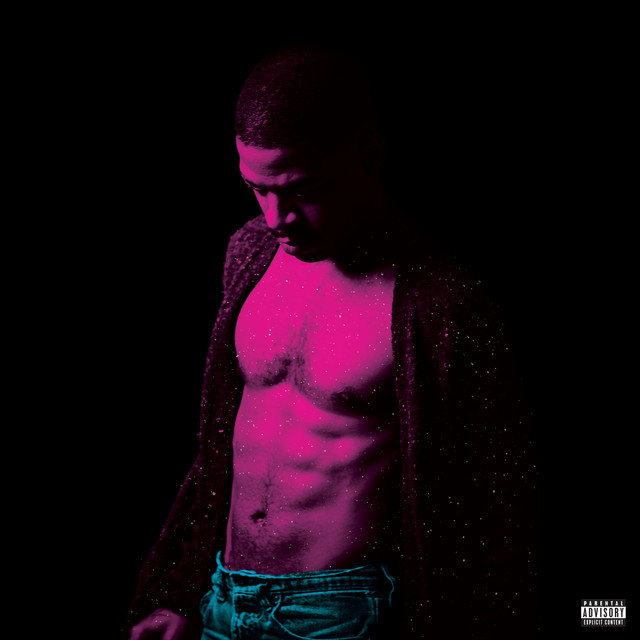 Kid Cudi - Passion Pain & Demon Slayin (Vinyl) (Forudbestilling)