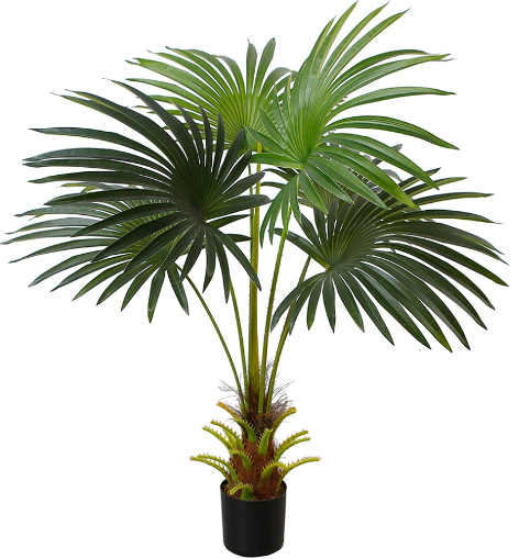 Cycus palme med tyk stamme 95 cm