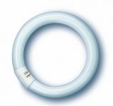 Lysrør 32w/840 Cirkulært