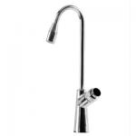 Waterpoint Hane g65, envejshane i krom med trykknap