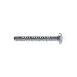 Walraven W-LX-P betonskrue 6x40 mm. Panhoved med torx 30. Elforzinket. Kasse a 100 stk.
