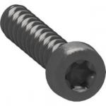 10 stk. - LK FUGAÂ®Skrue Torx 10 med spids til tekniske rammer