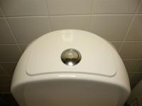 Gustavsberg Nordic T2 Trykknap t/enkelt skyl, krom