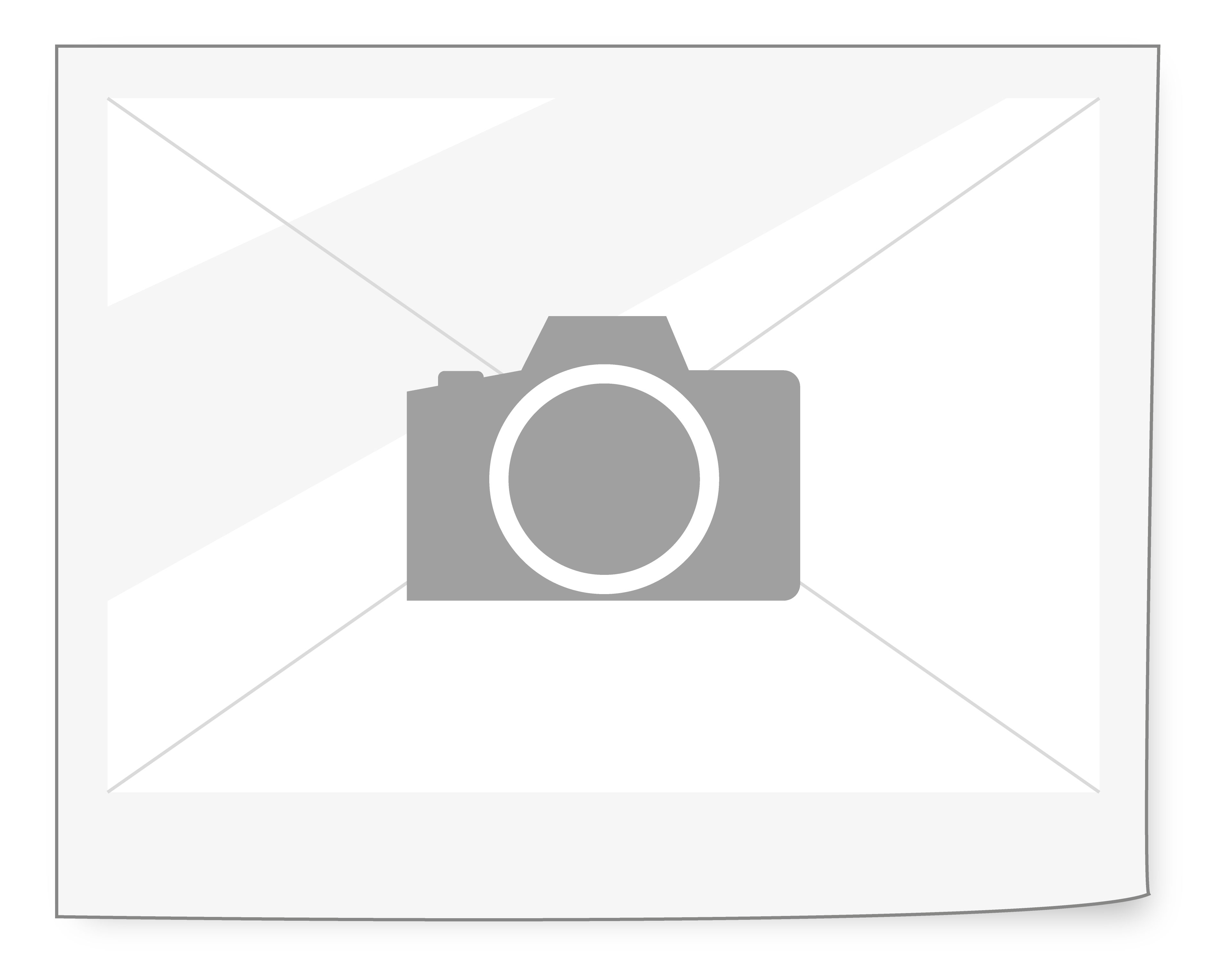 FallSafe Welder FS201KEV sele