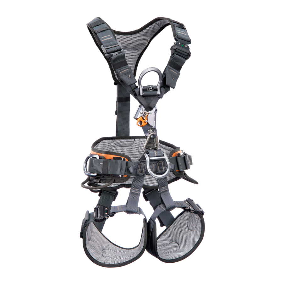 H-sele CT Gryphon Ascender